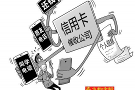 天元为什么选择专业追讨公司来处理您的债务纠纷？